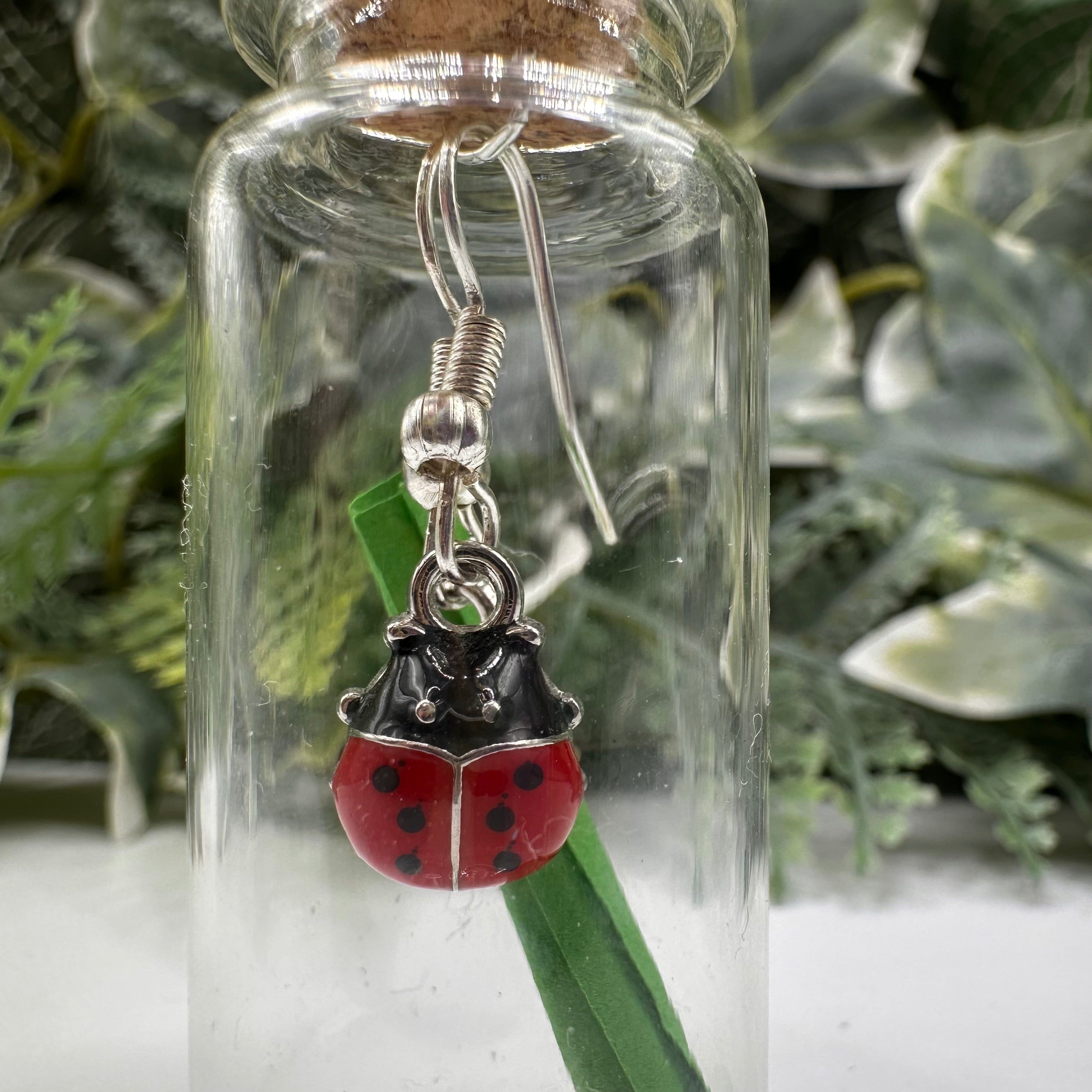 Silver Ladybird Bottled Charm Earrings - Gift Boxed