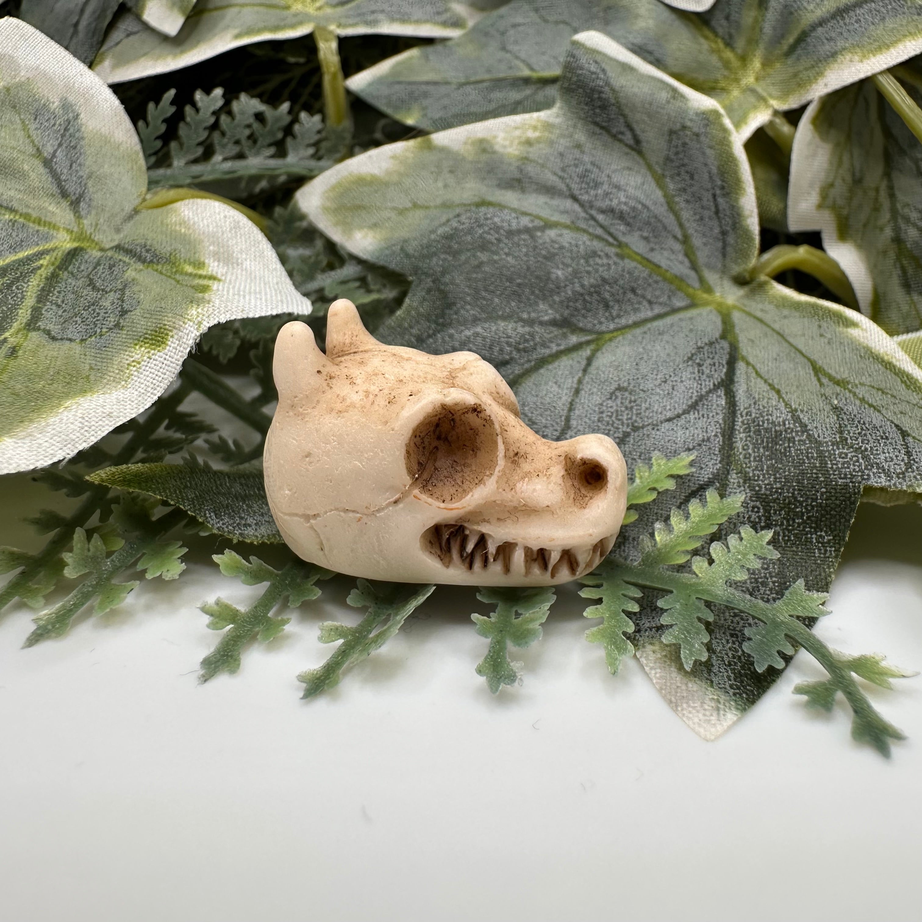 Mini Dragon Skull Decoration