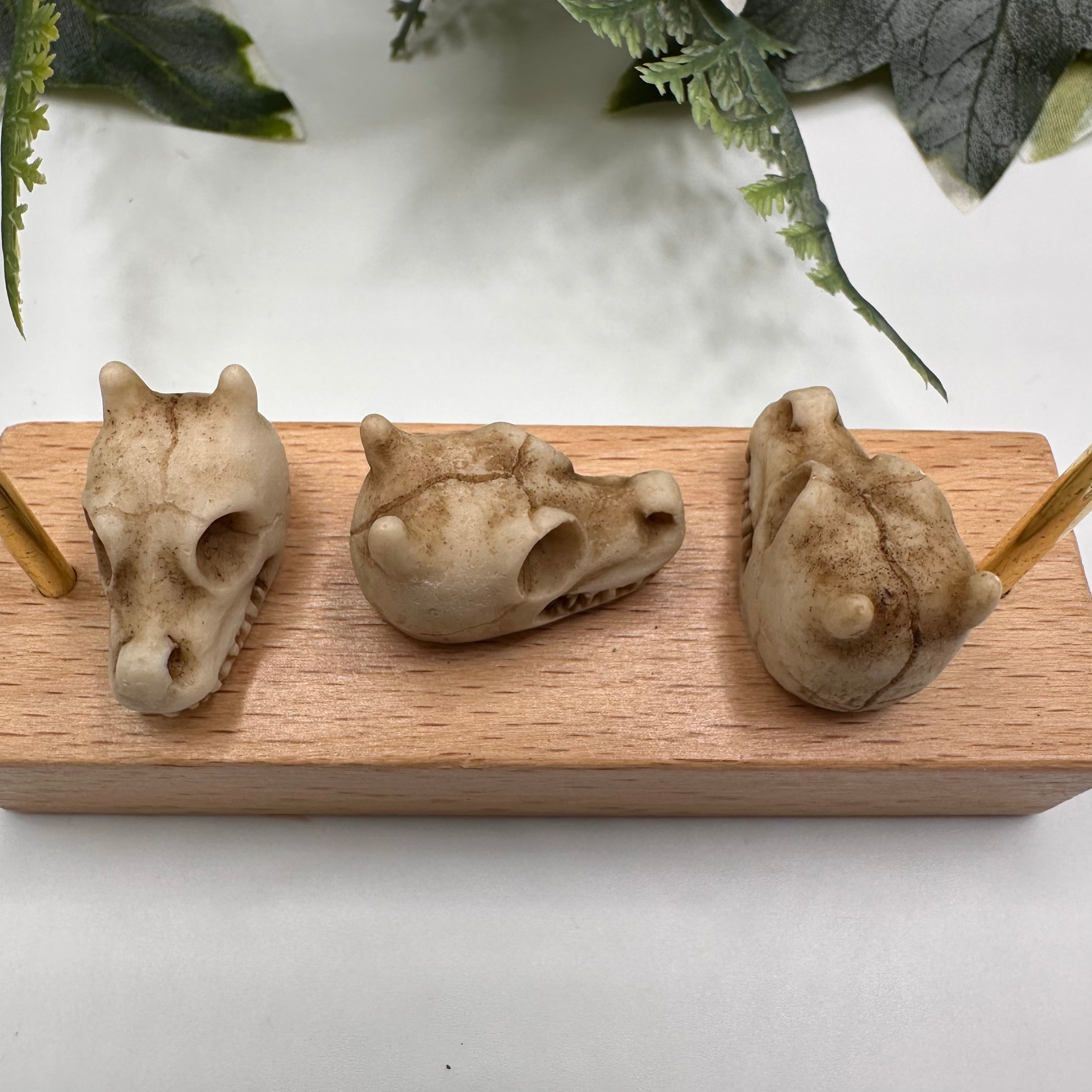 Mini Dragon Skull Decoration