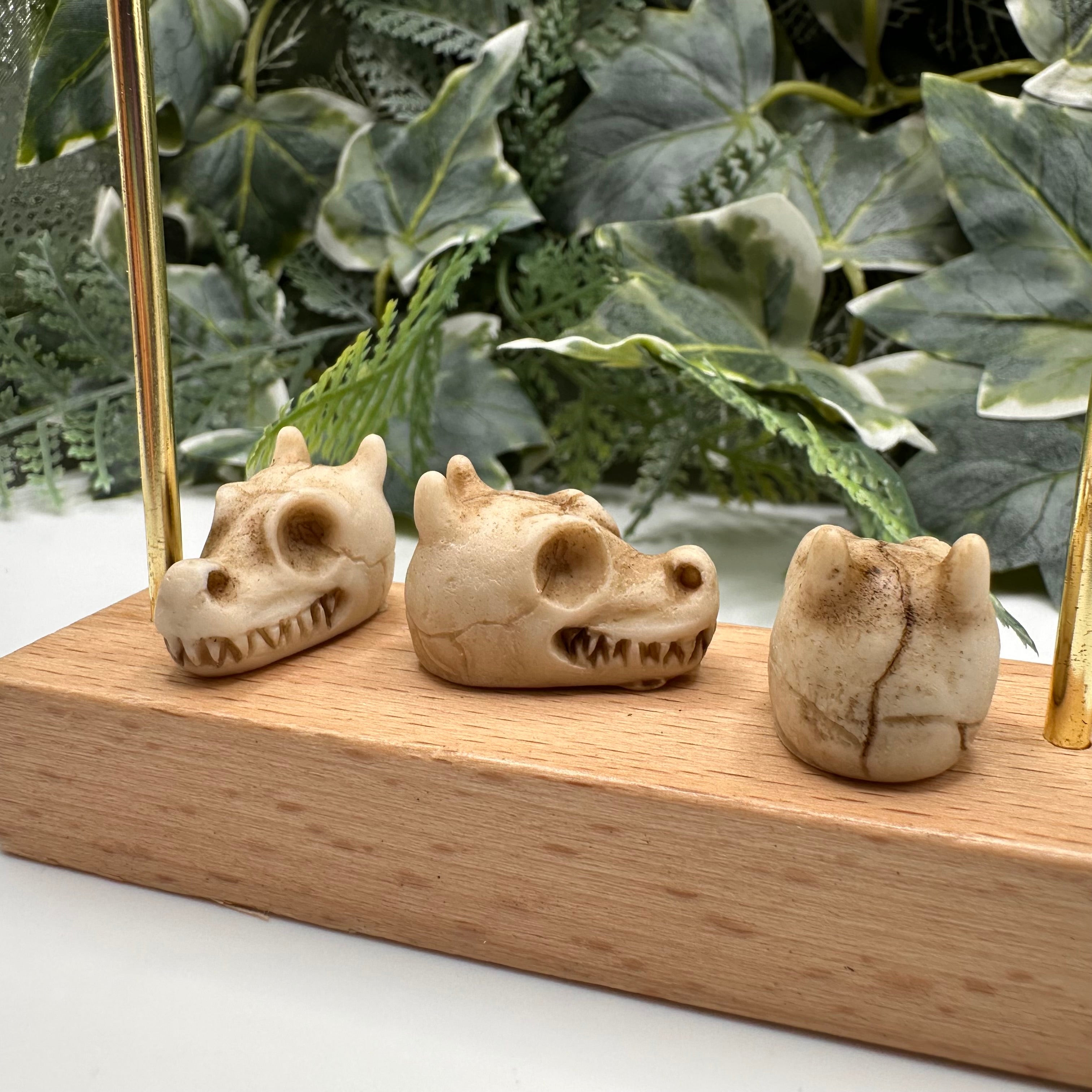 Mini Dragon Skull Decoration