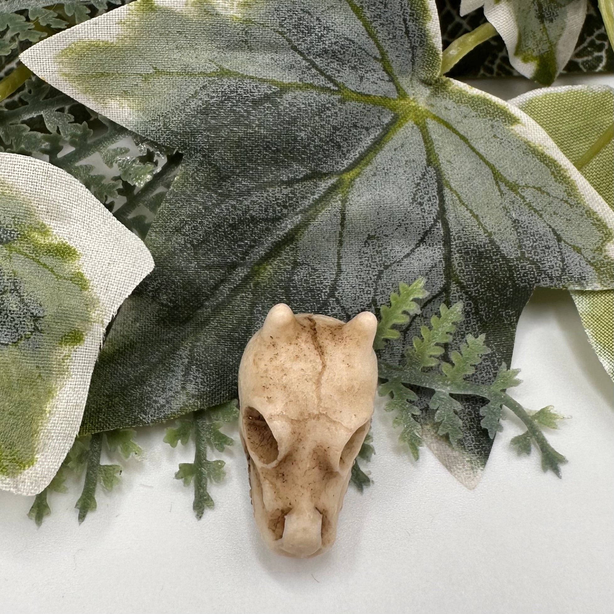 Mini Dragon Skull Decoration