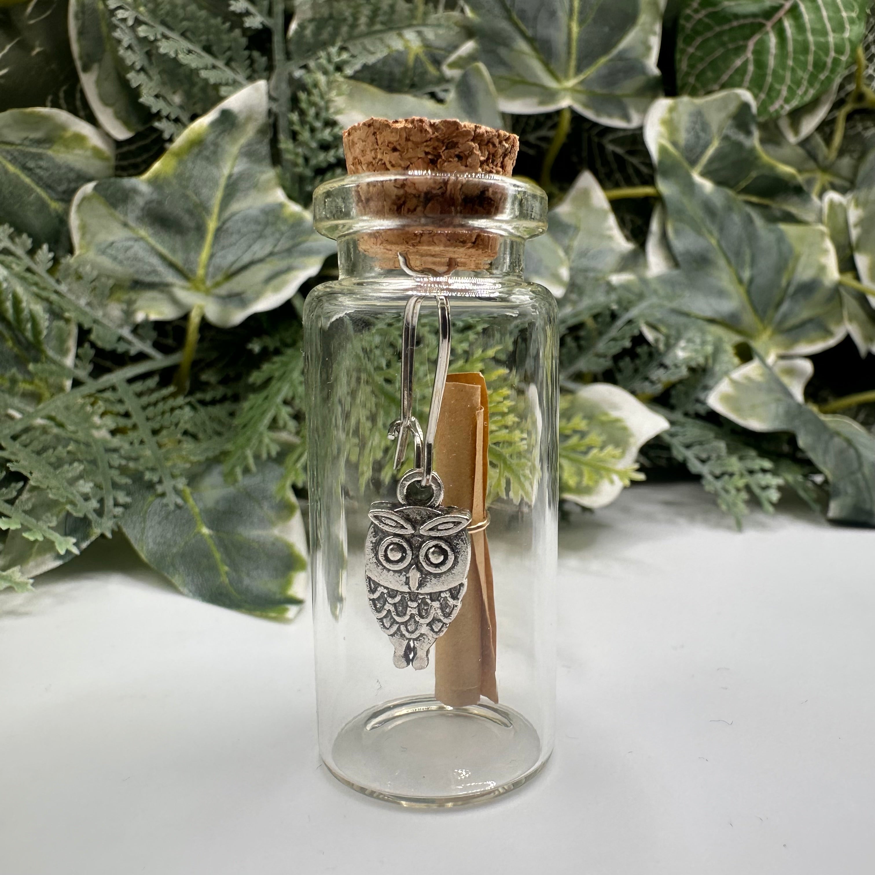 Mini Owl Bottled Charm Earrings