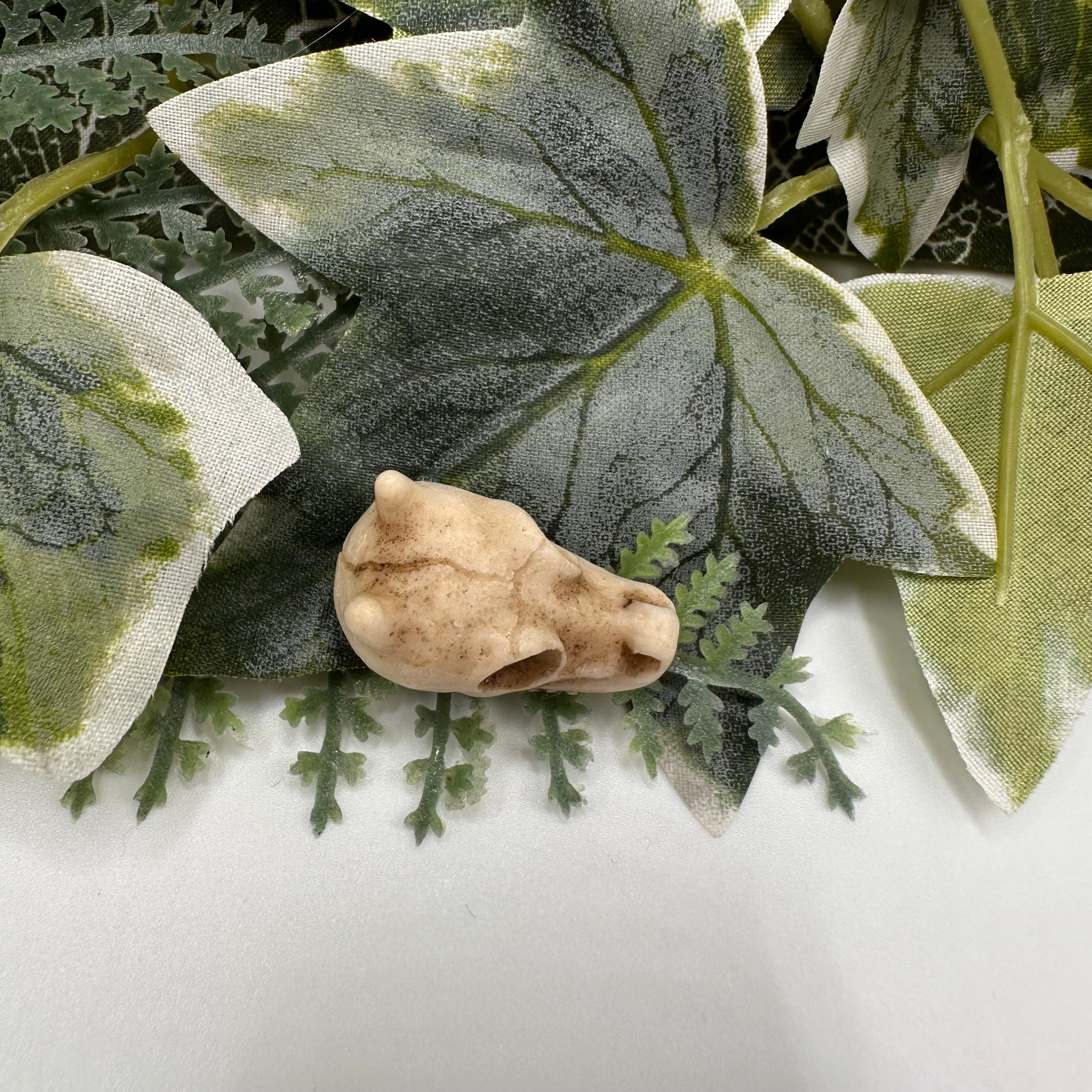 Mini Dragon Skull Decoration