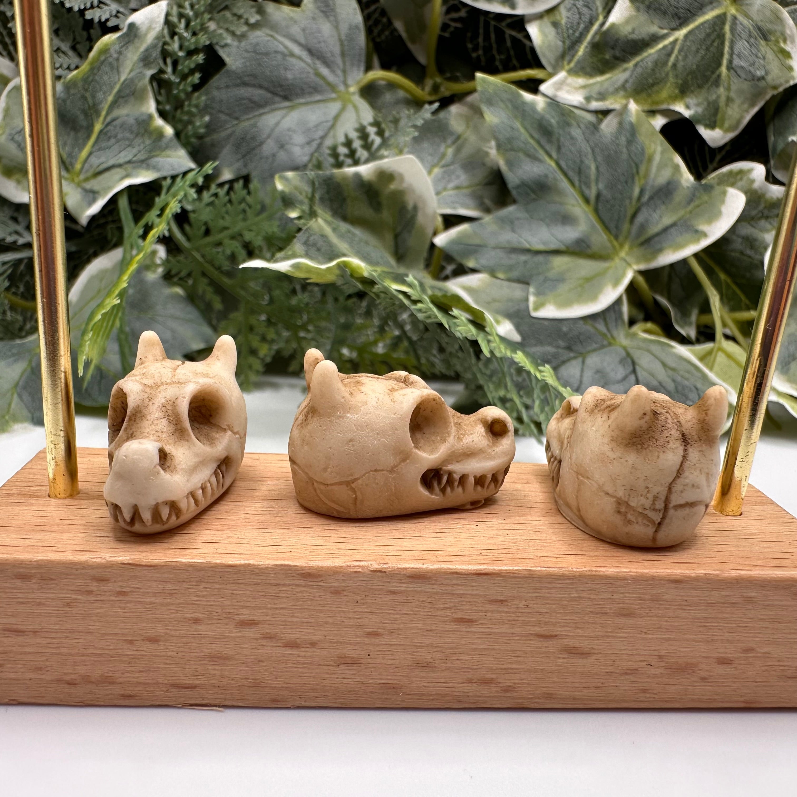 Mini Dragon Skull Decoration