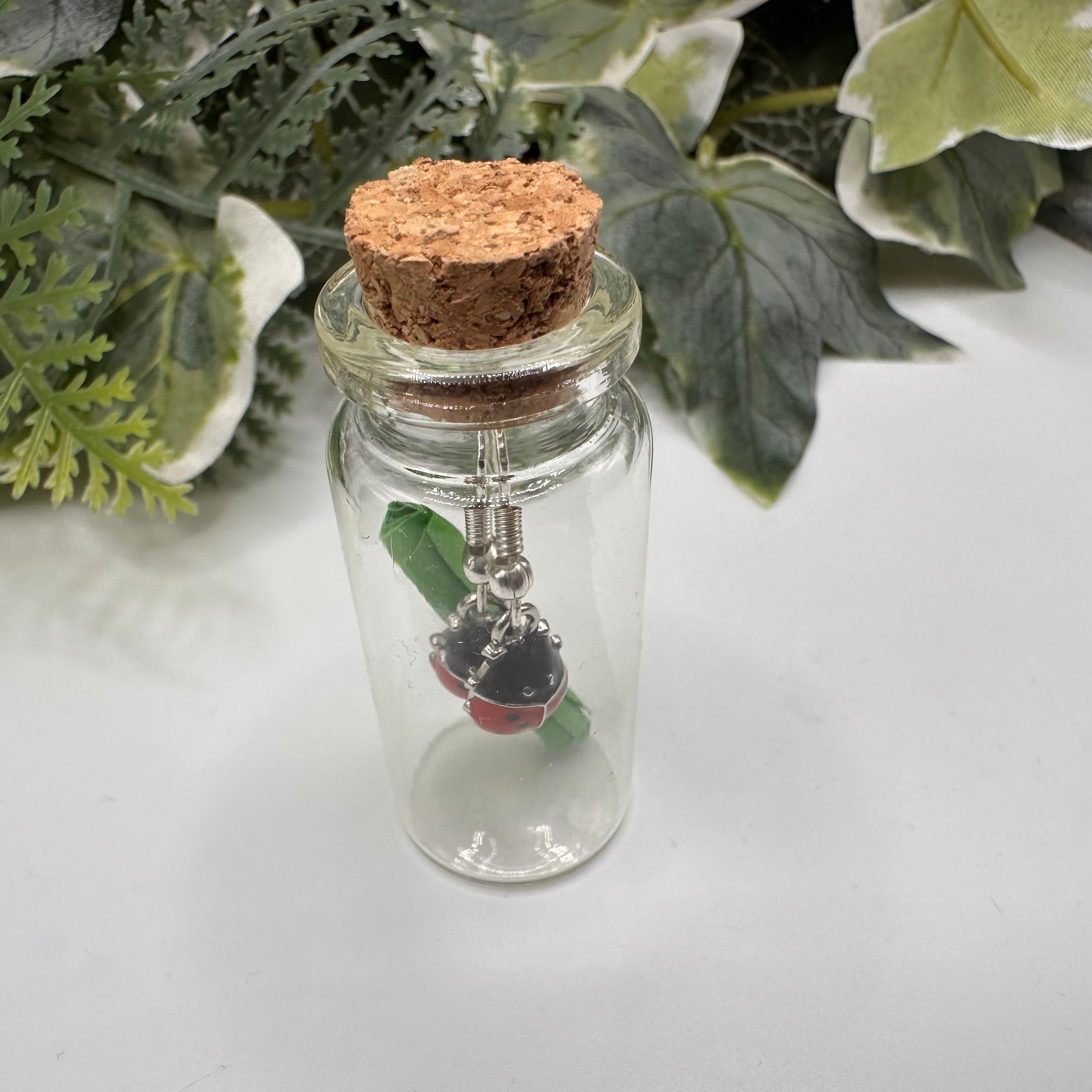 Silver Ladybird Bottled Charm Earrings - Gift Boxed