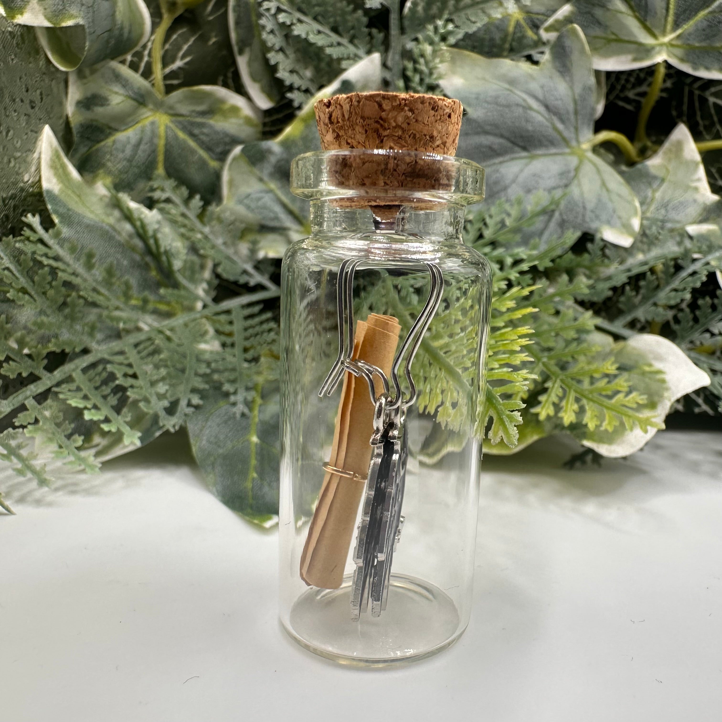 Raven / Crow Bottled Charm Earrings