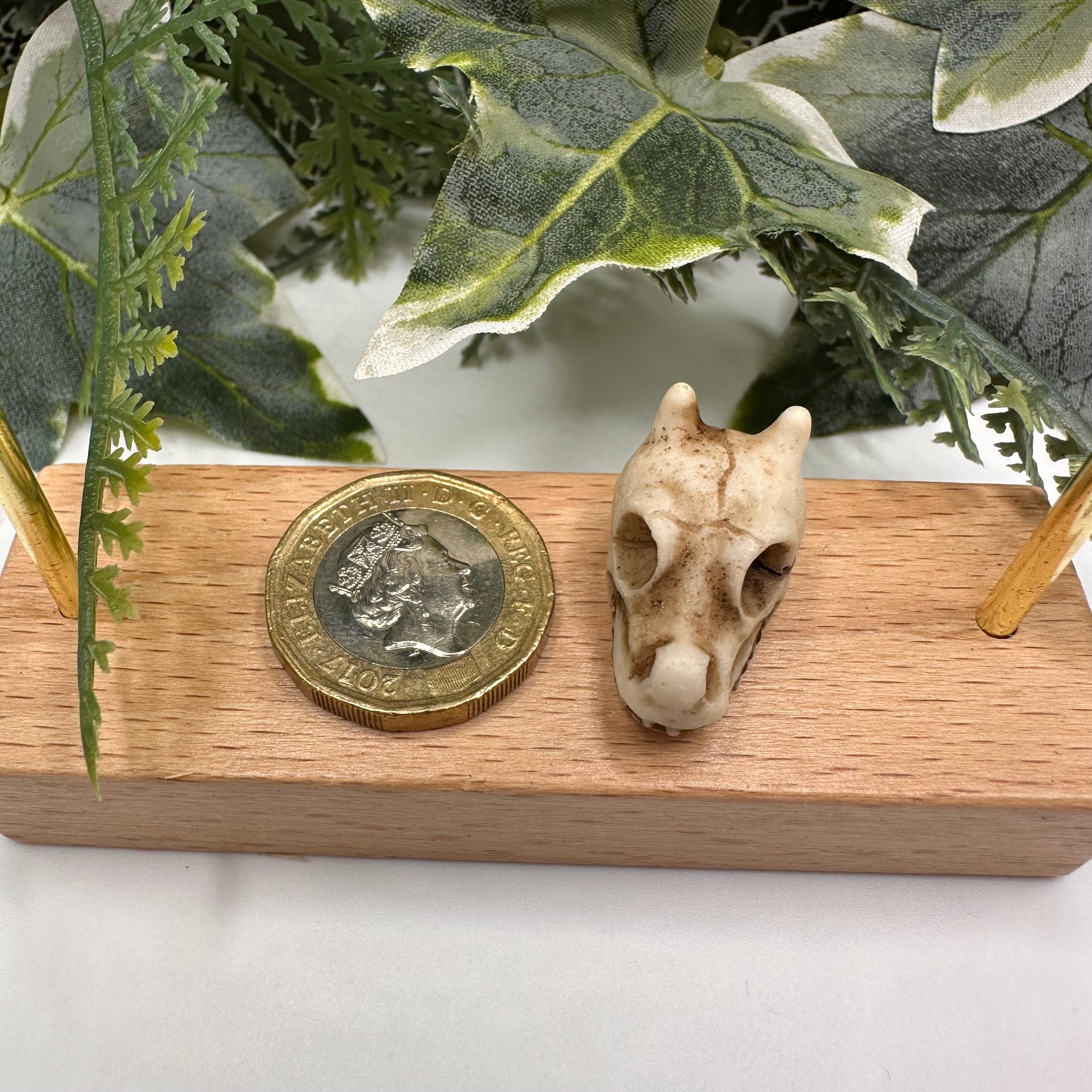 Mini Dragon Skull Decoration