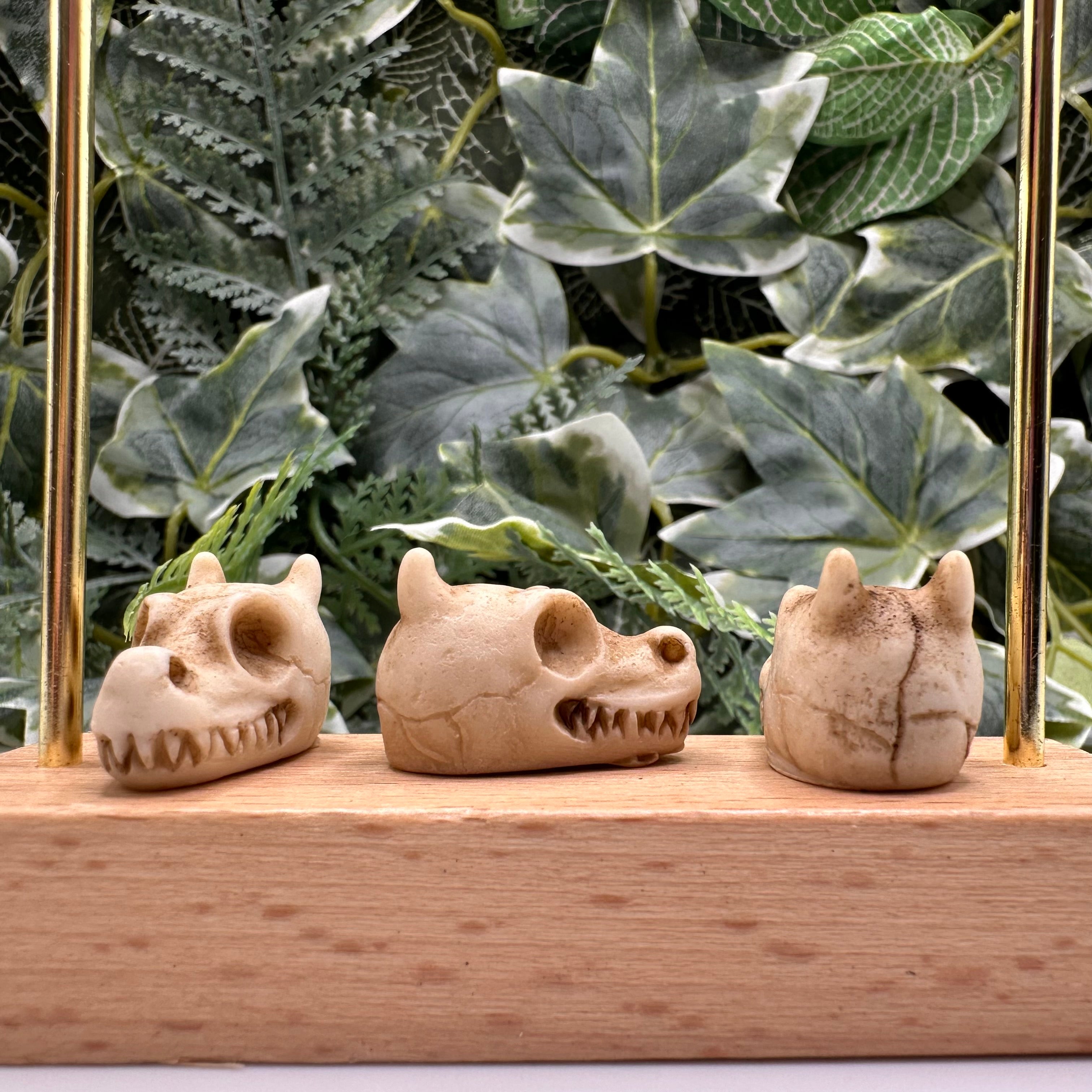 Mini Dragon Skull Decoration